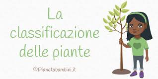 Crittogame, ovvero piante che non hanno fiori né semi e si riproducono tramite spore o per scissione. La Classificazione Delle Piante Schede Didattiche Per La Scuola Primaria Pianetabambini It