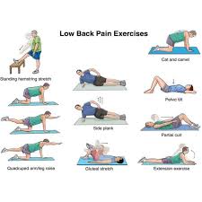 Pin On Exercise