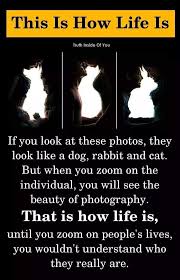 Sundaymorning Hashtag On Twitter Truth Of Life Quotes And Notes Motivation Inspiration