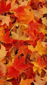 Maybe you would like to learn more about one of these? 14 Iphone Wallpapers To Fall In Love With Autumn Preppy Wallpapers
