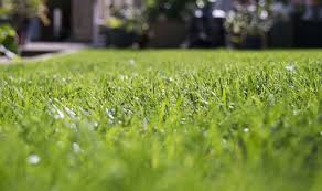 We did not find results for: How To Level A Garden Express Co Uk