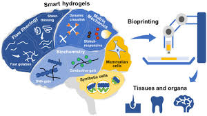 Maybe you would like to learn more about one of these? Gels Free Full Text Smart Bioinks As De Novo Building Blocks To Bioengineer Living Tissues Html