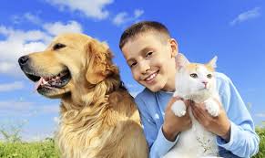 13 views 0 lucia reich. 4 Octombrie Ziua InternaÈ›ionalÄƒ A Animalelor 10 Moduri Prin Care PoÈ›i SÄƒrbÄƒtori World Animal Day Ziarul Unirea