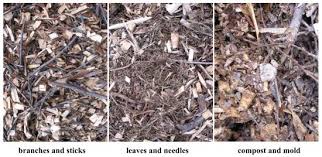 Pick up at our lakewood yard during office hours. Mulching With Arborist Chips Mother Earth News