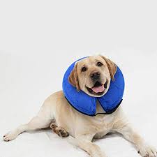 10 Best Inflatable E Dog Collars Dog Cone Reviews 2019