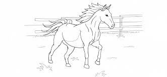 Mandala cheval awesome mandala cheval coloriages store. Eco Loriage Un Cheval A Imprimer Pret A Galoper