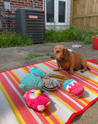 Posts with replies by STRAB (@Starbtea)  X