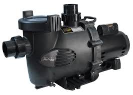 Maybe you would like to learn more about one of these? Jandy Plushp