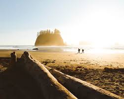 More images for second beach washington » Second Beach La Push Wa Https Www Instagram Com Alxjmoon Washington
