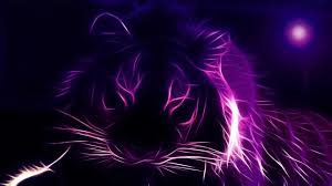 From your living room to your bedroom, spruce up your home with these unique purple wallpaper designs. Neon Purple Wallpaper Enjpg