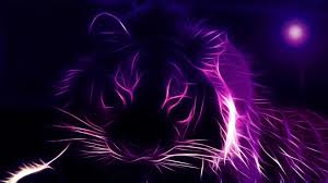 They named him after sasuke sarutobi in the hopes that he would someday be just as strong of a shinobi. Random Wallpapers Enjpg