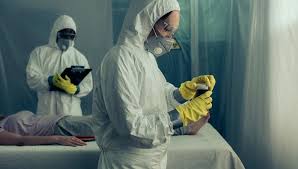 Hollanda'dan gelen nipah virüsü açıklaması korku yarattı. Nipah Virusu Niv Nedir Belirtileri Nelerdir Nipah Virusunun Asisi Var Mi Saglik Haberleri Ntv