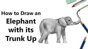 Similar to the trunk, draw the elephant's tail as two s curves joining at the point. How To Draw An Elephant With Its Trunk Up With Pencils Time Lapse Youtube