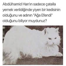 Abdulhamid Han Biliyor Muydunuz Tarih Ve Komik Alintilar
