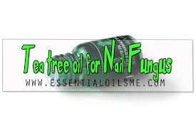 Purely northwest tea tree oil. Tea Tree Oil For Nail Fungus Best Solution In 2020 Essential Oils