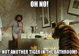 30 Best Bachelor Party Memes 2021 Edition Bachelor Party Bachelor Party Games Party Captions