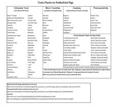 Toxic Plant List Pet Pig Education