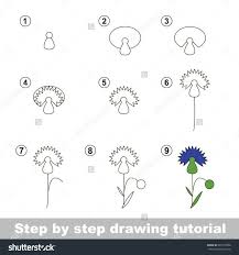 National Flower Of Germany Drawing Tutorial Drawings Step By Step Drawing