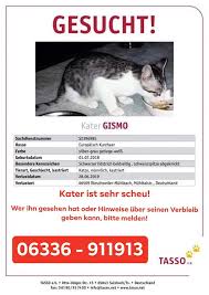 Ich habe vor mir eine katze zu kaufen und die hat ganz oben am ende des schwanzes einen knick. Vermisst Tierschutz Waldfischbachs Webseite