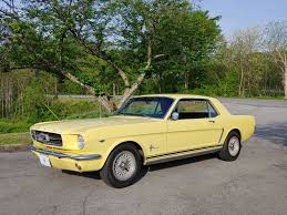 Image result for Phoenician Yellow 1965 Mustang