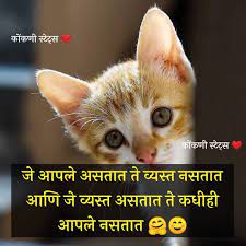 In ancient times cats were worshipped as gods; 1 346 Likes 1 Comments à¤• à¤•à¤£ à¤¸ à¤Ÿ à¤Ÿ à¤¸ à¤® à¤†à¤£ à¤¤ Konkani Status On Instagram à¤…à¤¸ à¤¸à¤² Funny Girl Quotes Whatsapp Status Quotes Marathi Quotes On Life