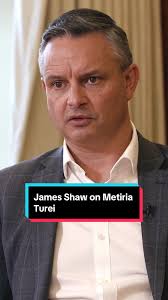 James Shaw: Metiria Turei Was 'Hounded' After Benefit Fraud Speech