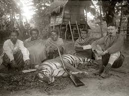 Asian Hunting Photos[HUNTING ANIMALS ...