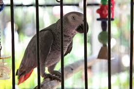 Accommodations for your vacation on sanibel island. Pin On Sanibel Captiva Islands