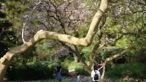 Der römische garten ist eine öffentliche parkanlage im hamburger stadtteil blankenese (bezirk altona) am südhang des polterberges. Romischer Garten Blankenese Hamburg April 2018 4k Youtube