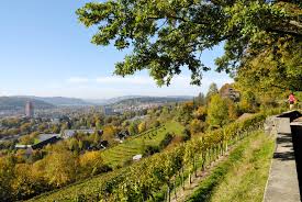 Winterthur weddings and events winterthur weddings and events. Baumli Stadt Winterthur