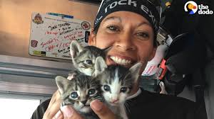 These Heroes Risk Their Lives For Animals Every Single Day