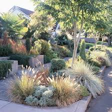 Trockenheitsvertragliche Pflanzen Wunderschone Garten Ideen Vorgarten Modern Vorgarten Design Vorgarten