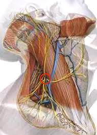 Check spelling or type a new query. Posicion En Decubito Lateral Para El Bloqueo Cervical Radicular Guiado Por Tc Premio Junior Neuroraquis 2017 Revista Argentina De Neurocirugia