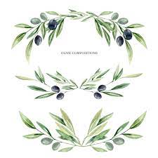 Watercolor Olive Branch Leaves Clipart Watercolor Leaves Etsy Floral Wreath Watercolor Leaf Clipart Olive Branch Tattoo