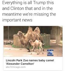 Truth In 2020 Hamilton Funny Hamilton Memes Hamilton Musical