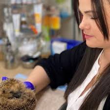 Von tagfahrlicht, über fernlicht bis zur bremsleuchte: Maria Seestaller Betreibt In Soyen Eine Intensivstation Fur Igel In Not Region Wasserburg