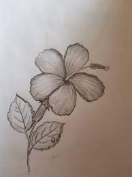 Pin On Pencil Drawing