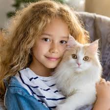 Hit me with your best shot 🥊 #cat #mainecoon #cats #kitten #cute