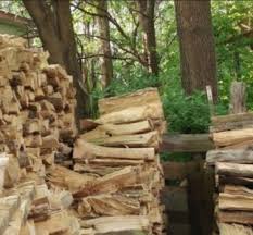 هل يمكنك حل لغز هذه الصورة التي أصابت الملايين بالحيرة شاهد المركب الإخباري