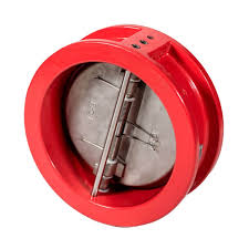 We did not find results for: Double Door Wafer Check Valve Ral3000 Pn 16