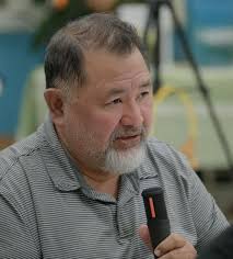 Referendum voting compromise proposed