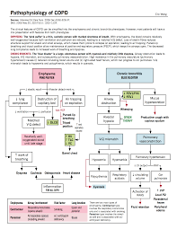 copd pathophysiology emphysema pink puffer chronic