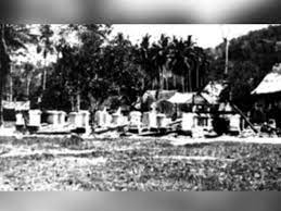 Asif muhammad, 56arnel lis, 51hana jamil, ~33. Itulah Tabik Terakhir Sarjan Jamil