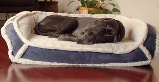 K9 Ballistics Orthopedic Lux Bolster Bed Cream Fur Khaki Tan Micro Xlarge 38 X 54 X 5 Be Sure To Look Into This Awesom Dog Bed Cool Items Sequin Party Dress