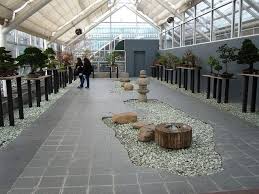 The training starts with your area of need and then organically grows to include other areas of bonsai that are pertinent to the successful development and growth of your fantastic bonsai. Bonsai Museum Brooklyn Botanic Garden Indoor Bonsai Tree Brooklyn Botanical Garden Indoor Bonsai