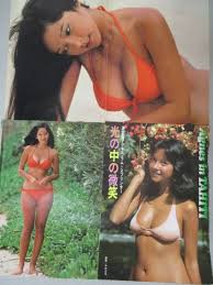 ◎希少◎グラビア◎アグネスラム◎切り抜きクリアブック◎