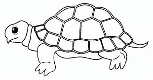 Download now hasil gambar untuk gambar kolase hewan kolase ilustrasi. 47 Contoh Gambar Kolase Hewan Kura Kura Hd Gambar Hewan