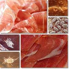 White Dots And Spots On Prosciutto Natureword