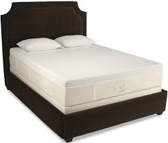 Tempur Pedic Tempur Cloud Luxe Tempur Cloud Luxe By Tempur Pedic By Tempur Pedic Tempurpedic Nebraska Furniture Mart Tempurpedic Bed