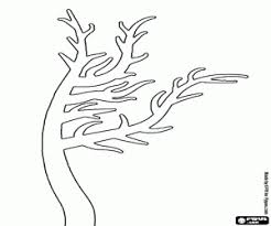 Arbol Sin Hojas Para Colorear